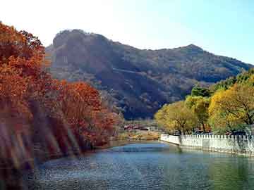 新澳天天开奖资料大全旅游团，灰鸽子黑防专版下载